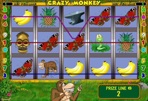 Як грати в ігровий автомат Crazy Monkey
